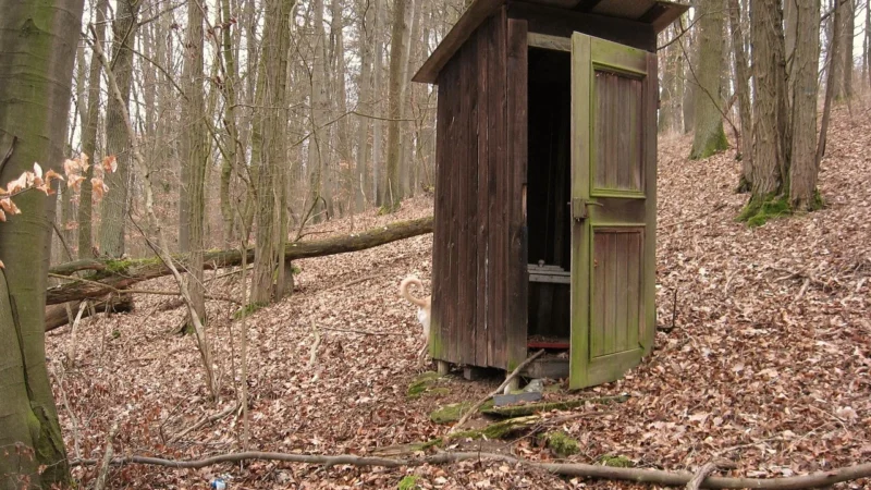 Nowoczesne toalety na działkę: komfort i funkcjonalność w terenie