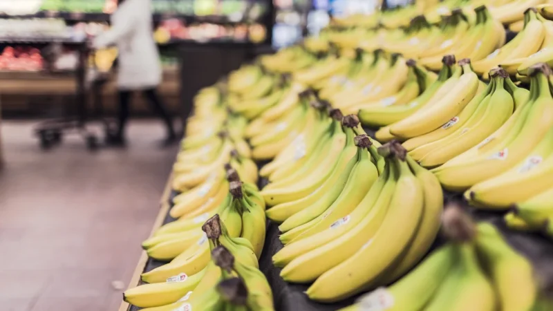 Zielona Rewolucja: Jak Żyć Ekologicznie na Co Dzień